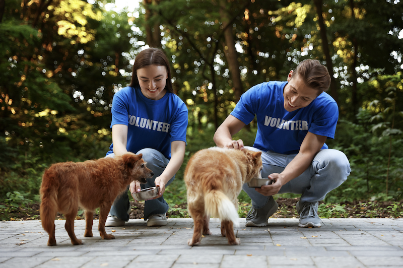 How The Gift of Service Can Ease Holiday Stress